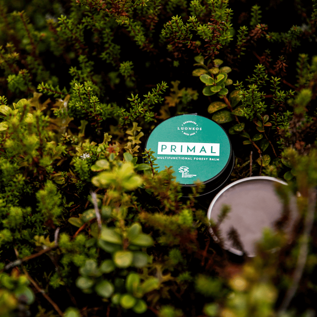 Luonkos Primal multi-functional forest balm in eco-friendly packaging placed in natural green foliage highlighting yritysvastuu ja vastuullisuus.