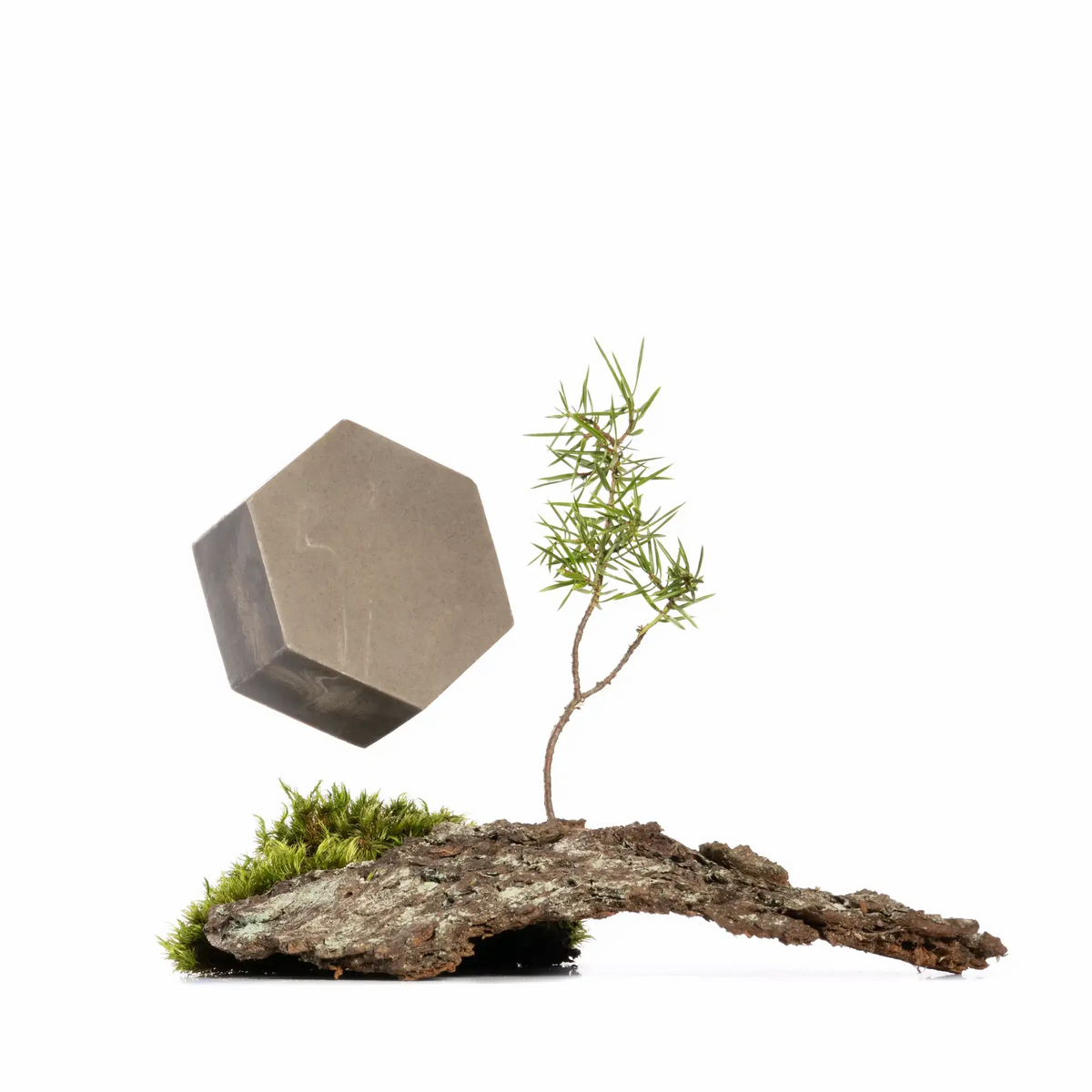 Vitality tasapainottava vartaloöljykakku